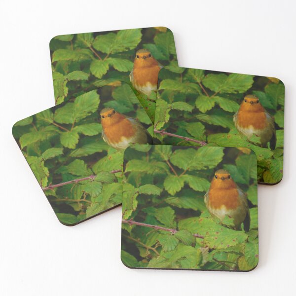 Item preview, Robin in Brambles designed and sold by AbnormalLoad.