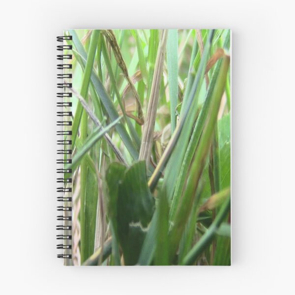 Aperçu de l'œuvre In The Grass créée et vendue par islanderscaper.