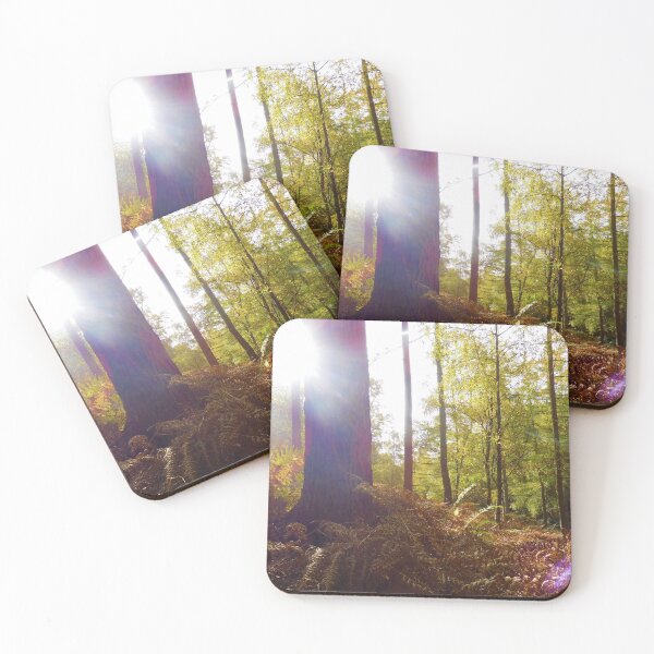 Item preview, Autumn Sunlight designed and sold by AbnormalLoad.