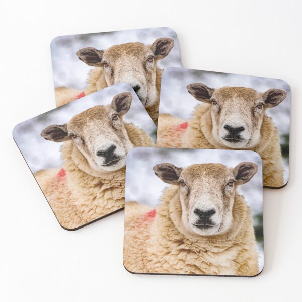 Item preview, Looking at Ewe designed and sold by Sue Knowles.