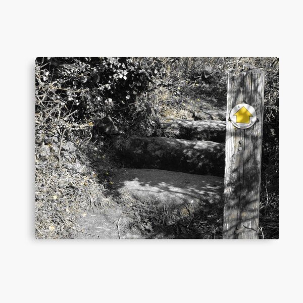 Item preview, Coast path designed and sold by frogs123.
