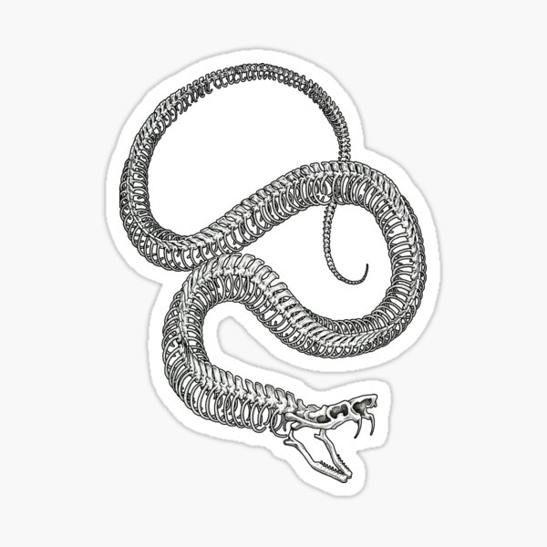 Steampunk Snake Merch & Gifts for Sale