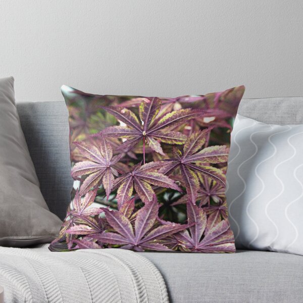 Item preview, Japanese Maple designed and sold by Frankie Cat Photography.