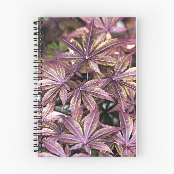 Item preview, Japanese Maple designed and sold by Frankie Cat Photography.