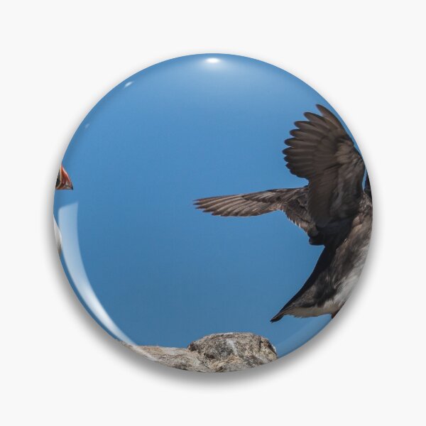 Item preview, Two Puffins designed and sold by Wilphotography.