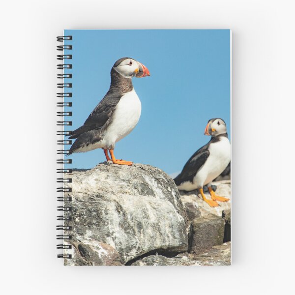Item preview, Two Puffins designed and sold by Wilphotography.
