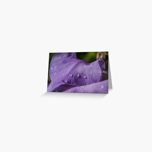 Irish flower petal with water drops Greeting Card