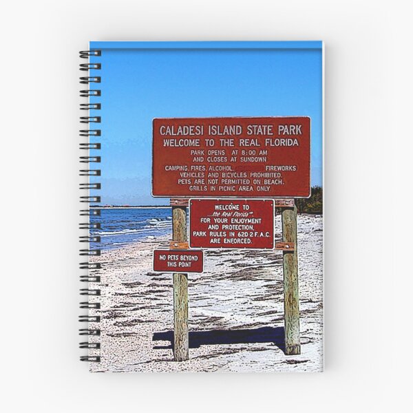 Item preview, The "REAL" Florida designed and sold by glink.