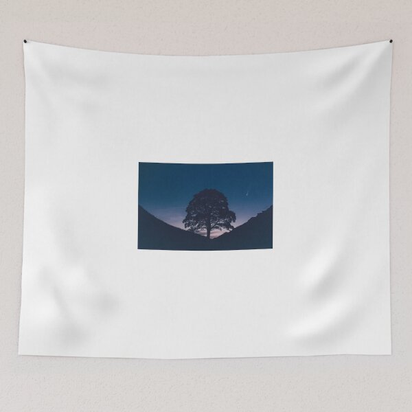 Item preview, Neowise and Sycamore Gap designed and sold by Wilphotography.