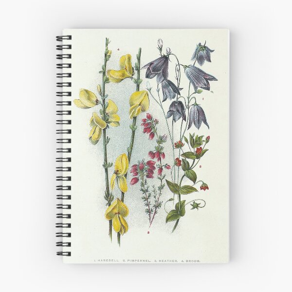 Item preview, Vintage Harebell And Others Print designed and sold by Douglas E. Welch Design and Photography.