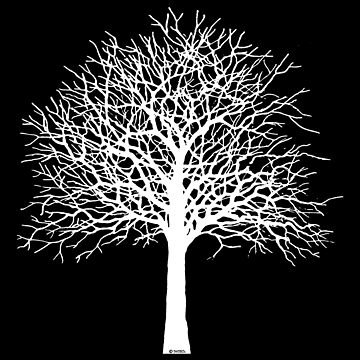 Imagen de la obra Tree de Sintes