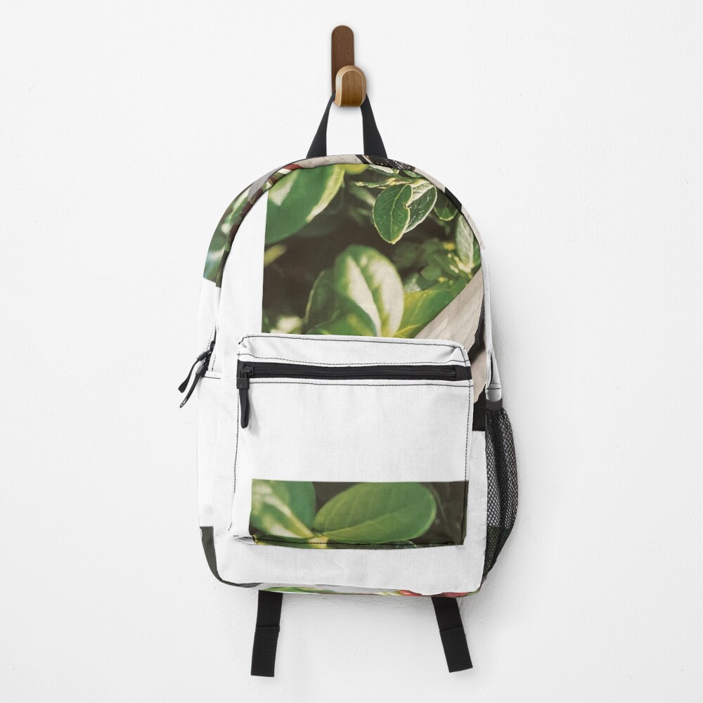 Item preview, Backpack designed and sold by RICOLLAGE.