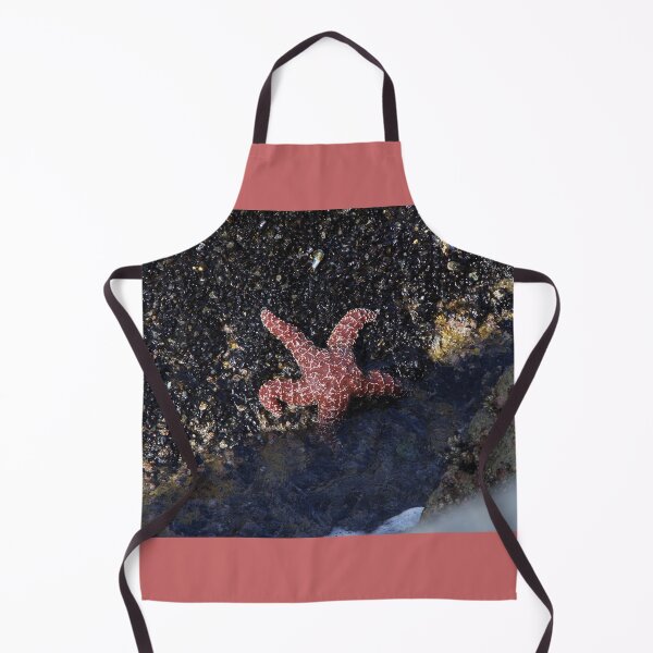 Item preview, Ochre Sea Star designed and sold by Ian Christopher.