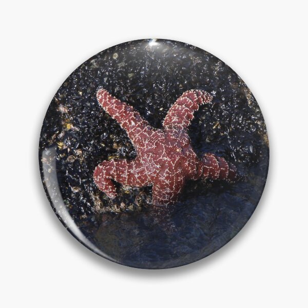Item preview, Ochre Sea Star  designed and sold by Ian Christopher.