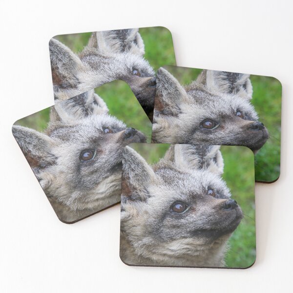 Item preview, bat ears designed and sold by AliMarleyPhoto.