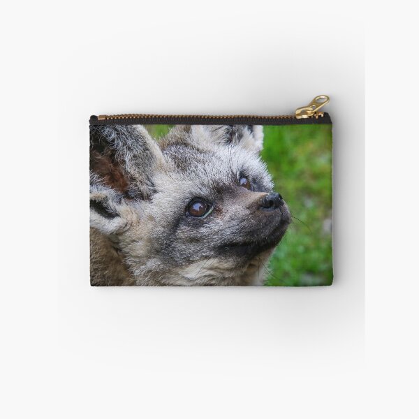 Item preview, bat ears designed and sold by AliMarleyPhoto.