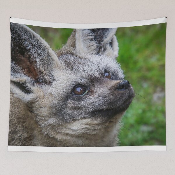 Item preview, bat ears designed and sold by AliMarleyPhoto.