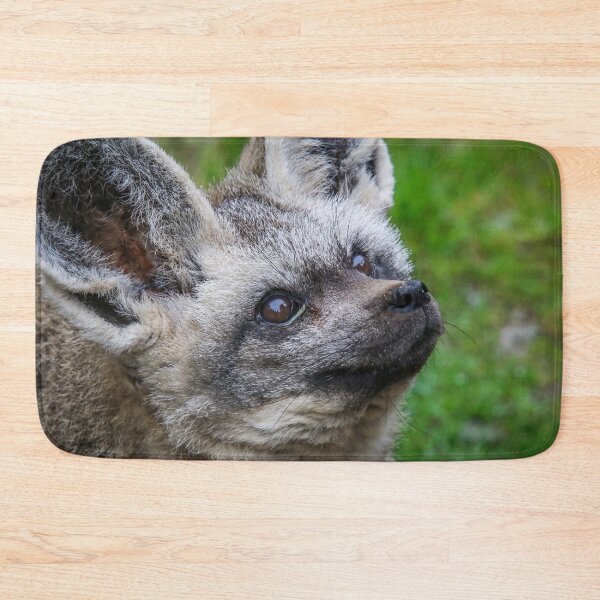 Item preview, bat ears designed and sold by AliMarleyPhoto.