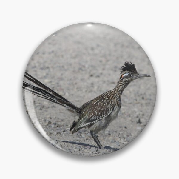 Item preview, Greater Roadrunner  designed and sold by Ian Christopher.