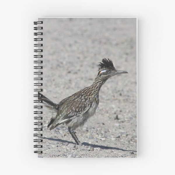Item preview, Greater Roadrunner  designed and sold by Ian Christopher.