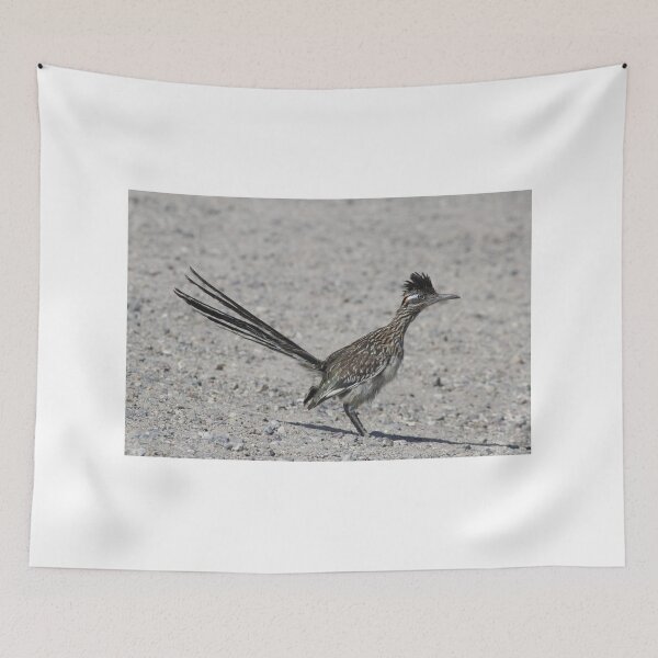 Item preview, Greater Roadrunner  designed and sold by Ian Christopher.