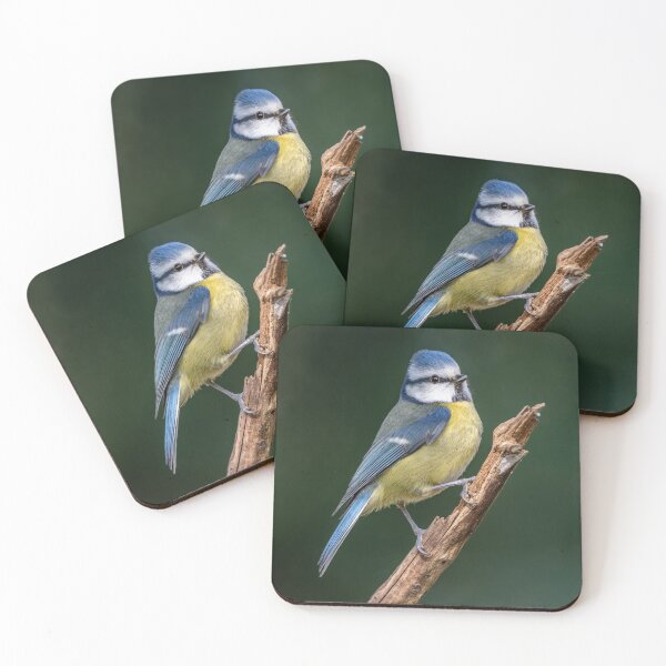 Item preview, Blue Tit designed and sold by Steve Liptrot Photography.