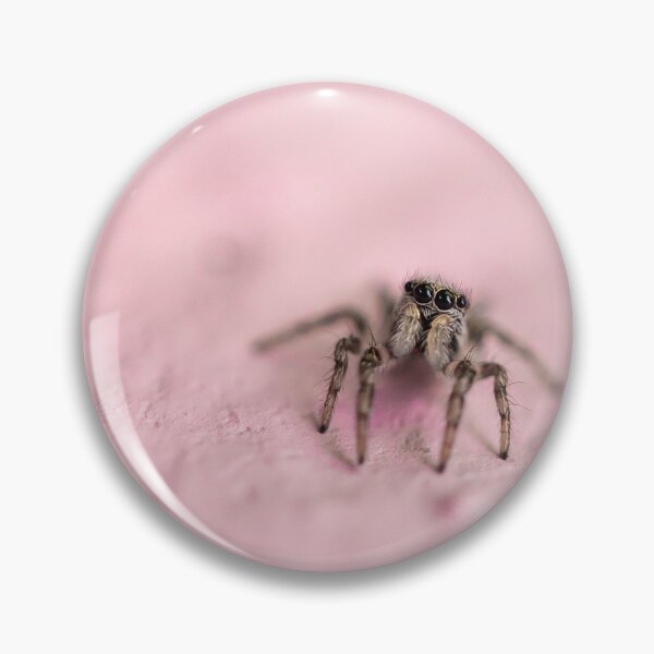 Item preview, Curious little zebra spider. designed and sold by SeanPics.