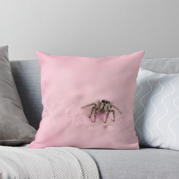 Item preview, Curious little zebra spider. designed and sold by SeanPics.