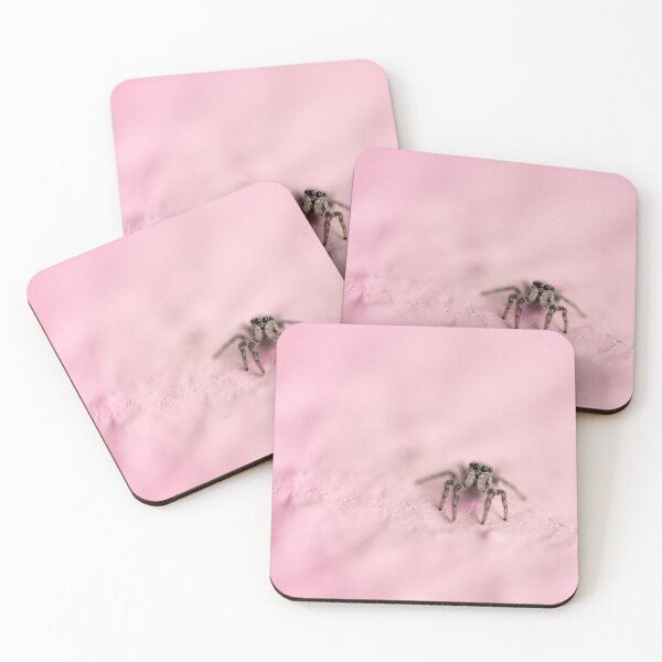 Item preview, Curious little zebra spider. designed and sold by SeanPics.
