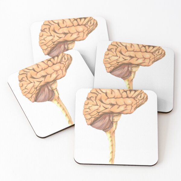 Item preview, Anatomical Brain designed and sold by ChewbeccaDoodle.