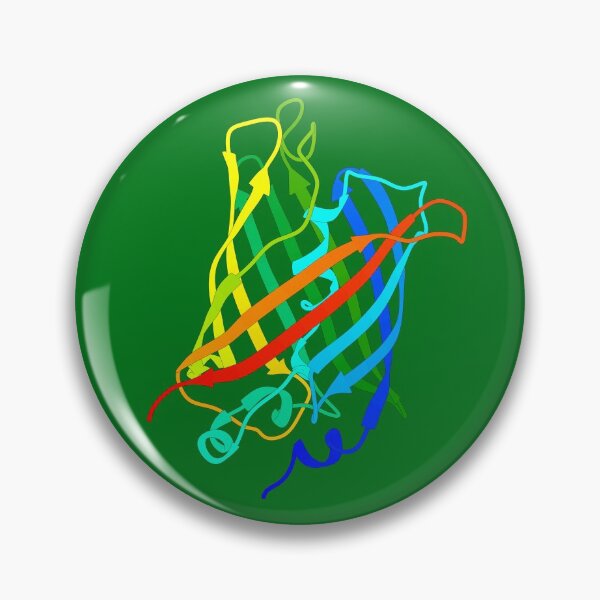 Item preview, Green Fluorescent Protein (GFP) designed and sold by 3D Biology.