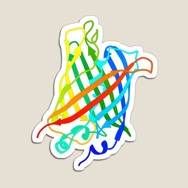Item preview, Green Fluorescent Protein (GFP) designed and sold by 3D Biology.