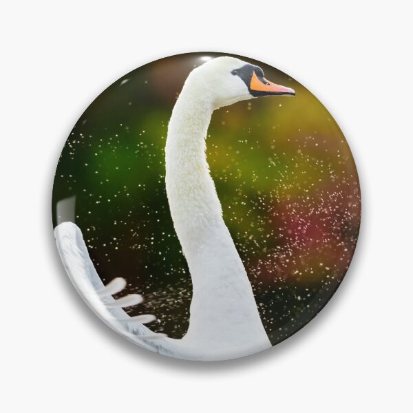 Item preview, Mute Swan Drying off  designed and sold by Ryan  Ten.