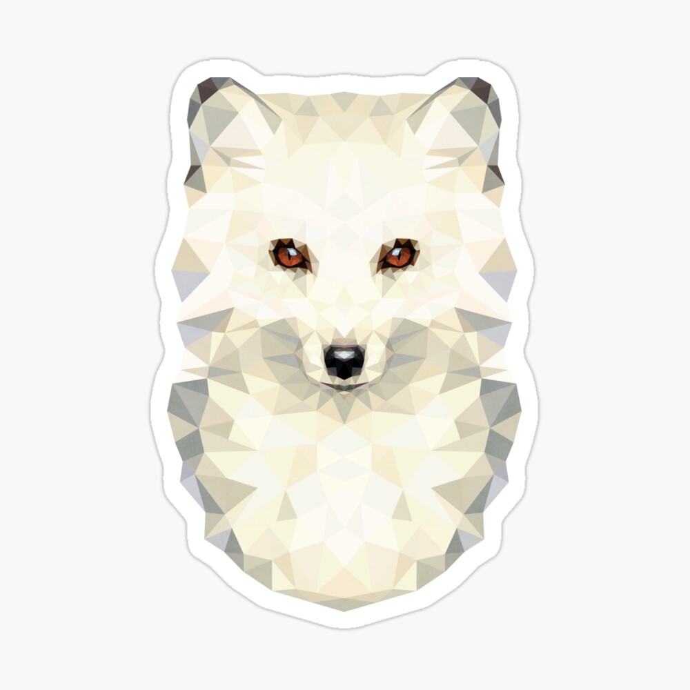 Vegan Hair Dye & Hair Color Accessories | Arctic Fox