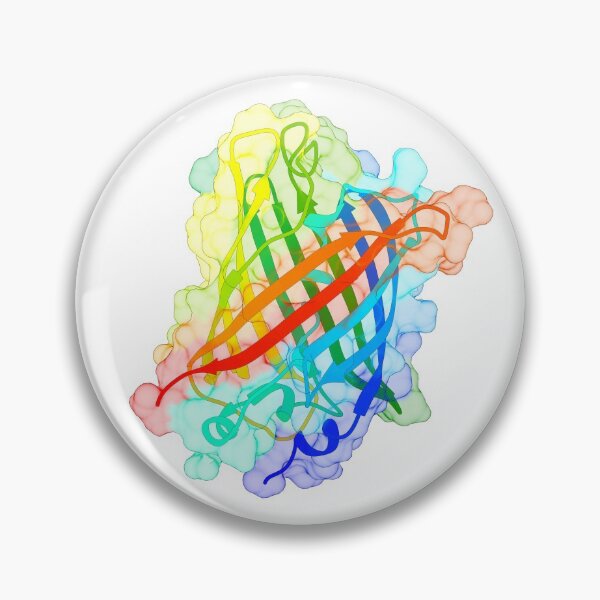 Item preview, Green Fluorescent Protein (GFP) designed and sold by 3D Biology.