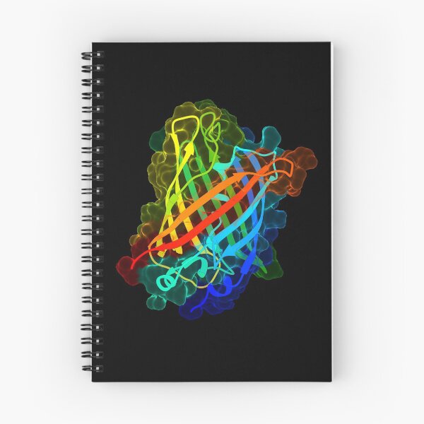 Item preview, Green Fluorescent Protein (GFP) designed and sold by 3D Biology.