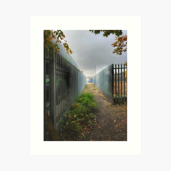 liminal path Art Print