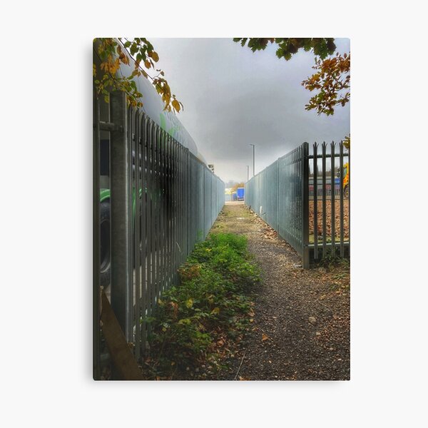liminal path Canvas Print