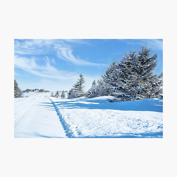 Item preview,  Prince Edward Island Frosty Winter Road designed and sold by onepony.