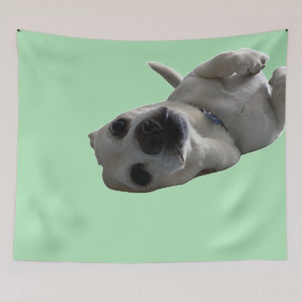 Item preview, Cute mini lab designed and sold by GabyVGalindo.