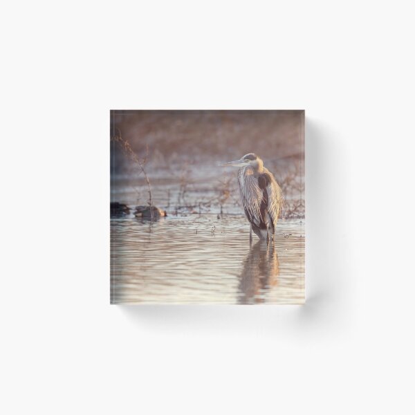 Item preview, Early Morning Heron Hagerman National Wildlife Refuge designed and sold by PhotoArt by Joan Carroll.