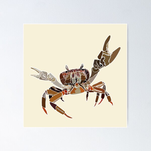Item preview, Land Crab Illustration designed and sold by Kyle Smithgall.