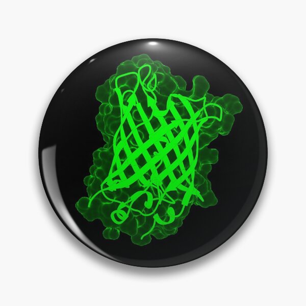 Item preview, Green Fluorescent Protein (GFP) designed and sold by 3D Biology.
