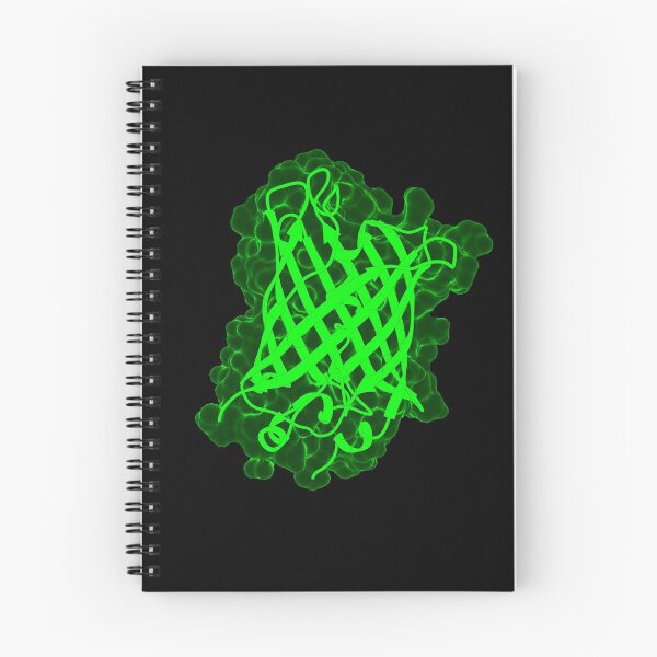 Item preview, Green Fluorescent Protein (GFP) designed and sold by 3D Biology.