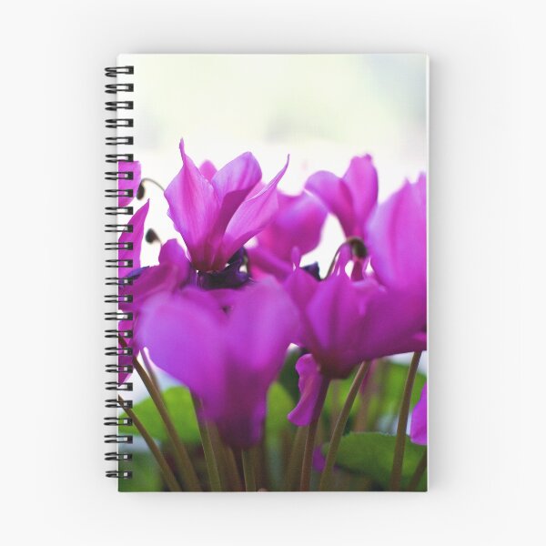 Item preview, cyclamen - purple profusion designed and sold by Jan Stead JEMproductions.