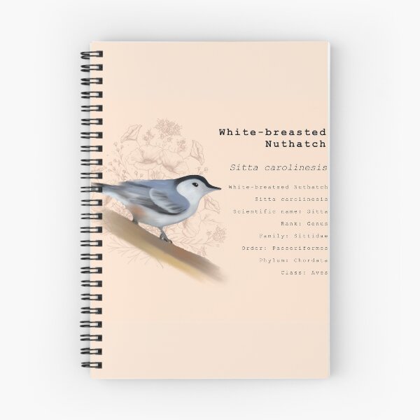 Item preview, Nuthatch Bird Vintage print.  designed and sold by faztheartnoob.