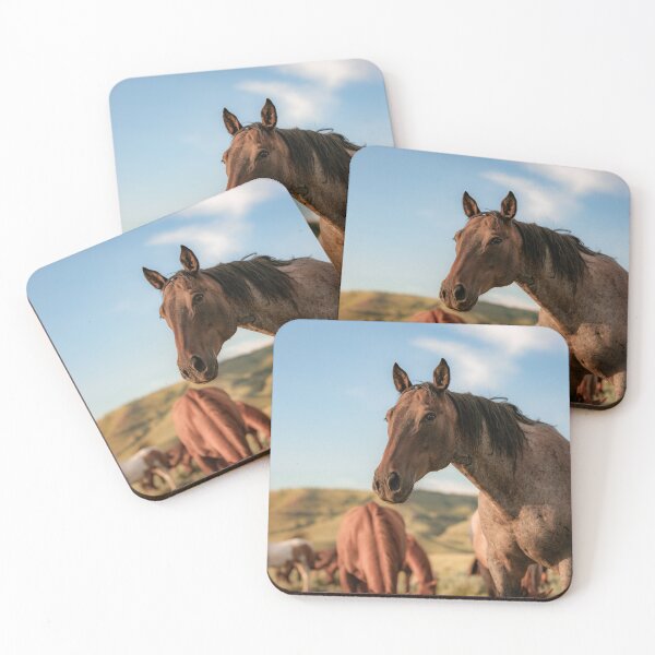 Item preview, Copy of Horse herd in Montana looking at camera designed and sold by BerryvineImage.