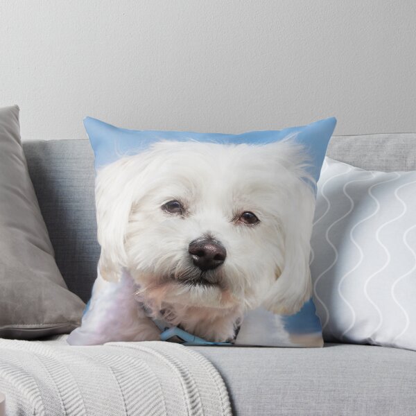 Item preview, Cuteness!  designed and sold by wordsford.