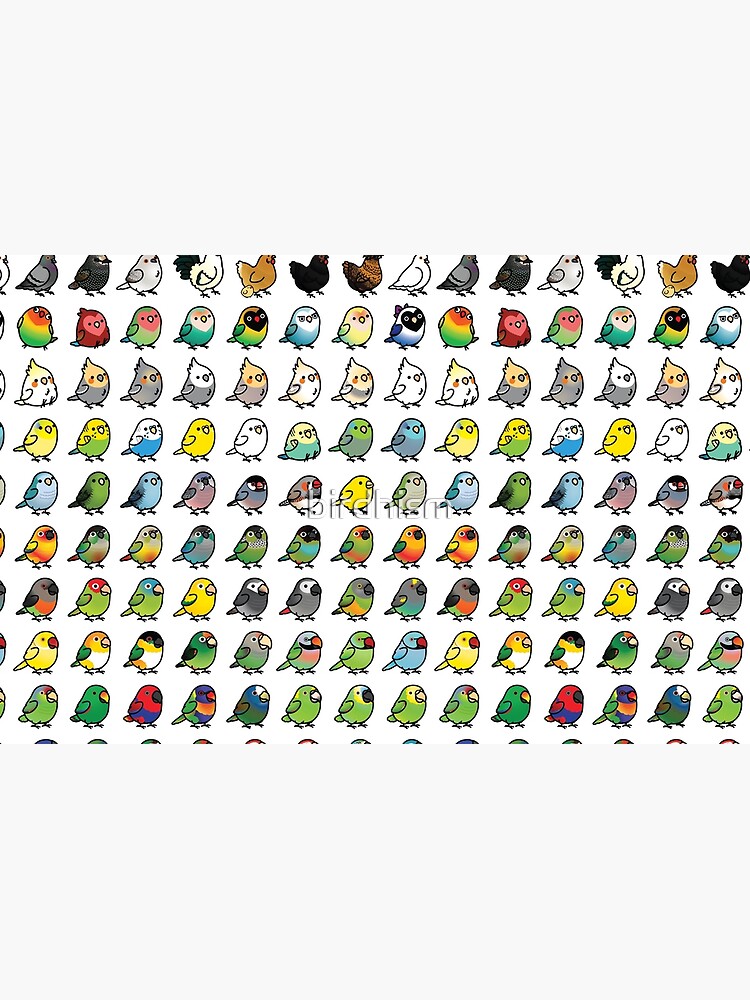 Everybirdy Collection by birdhism