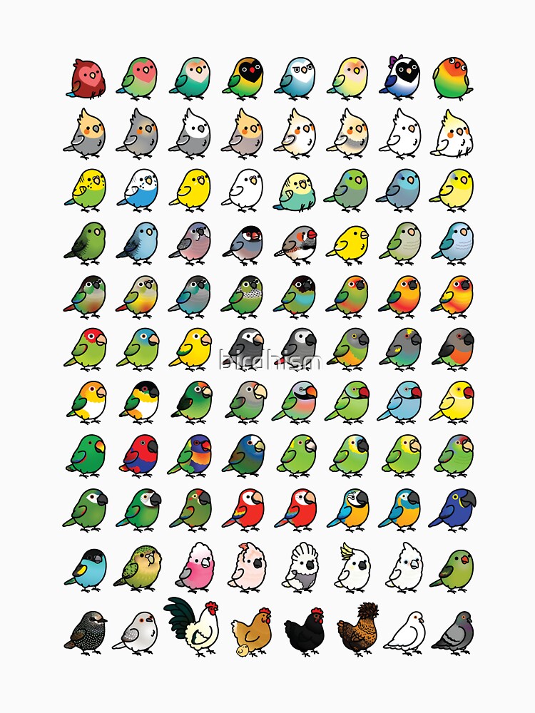 Everybirdy Collection by birdhism